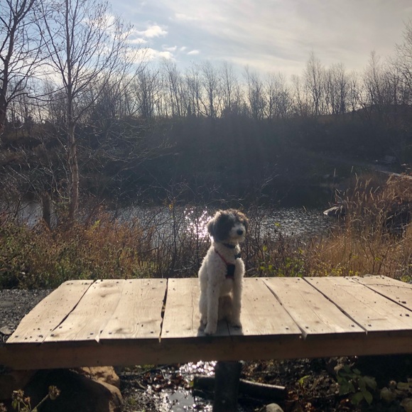 Meet your Posher, Caitlin - Picture 3 of 3